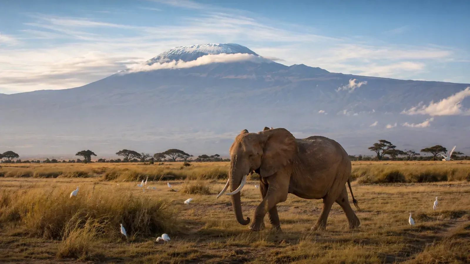 Amboseli