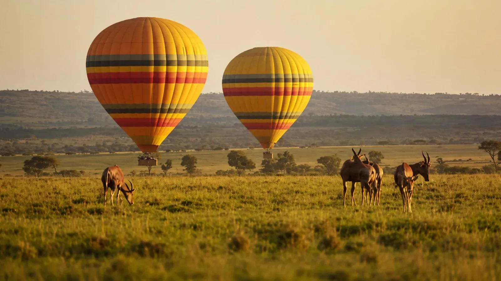 Hot air balloon, Masai Mara