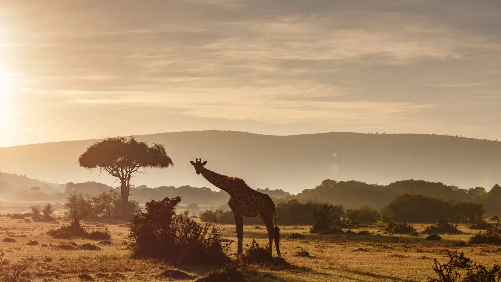 Passing through the Ngorongoro Conservation Area