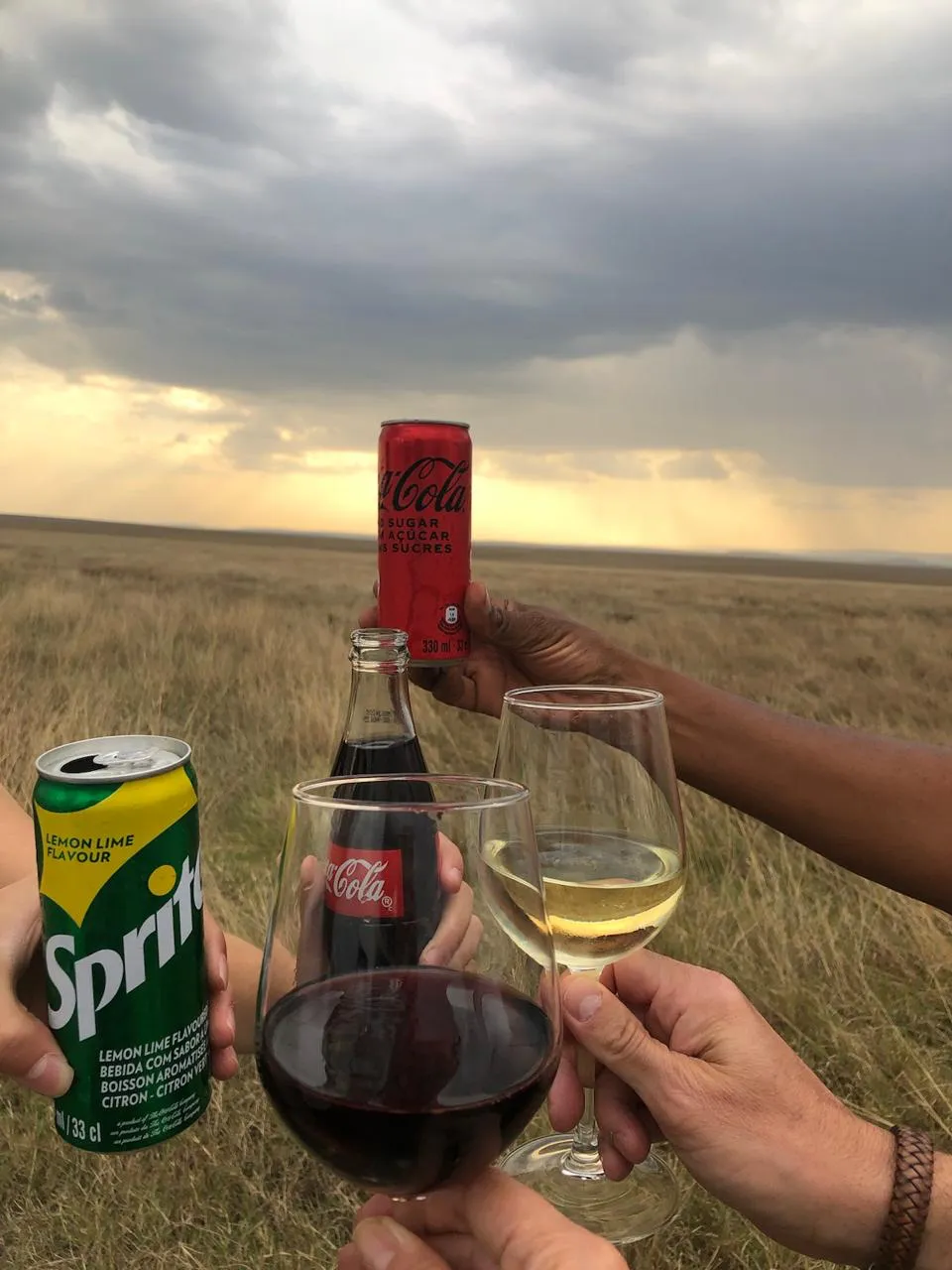 Guests raising glasses at a sundowner on the open plains