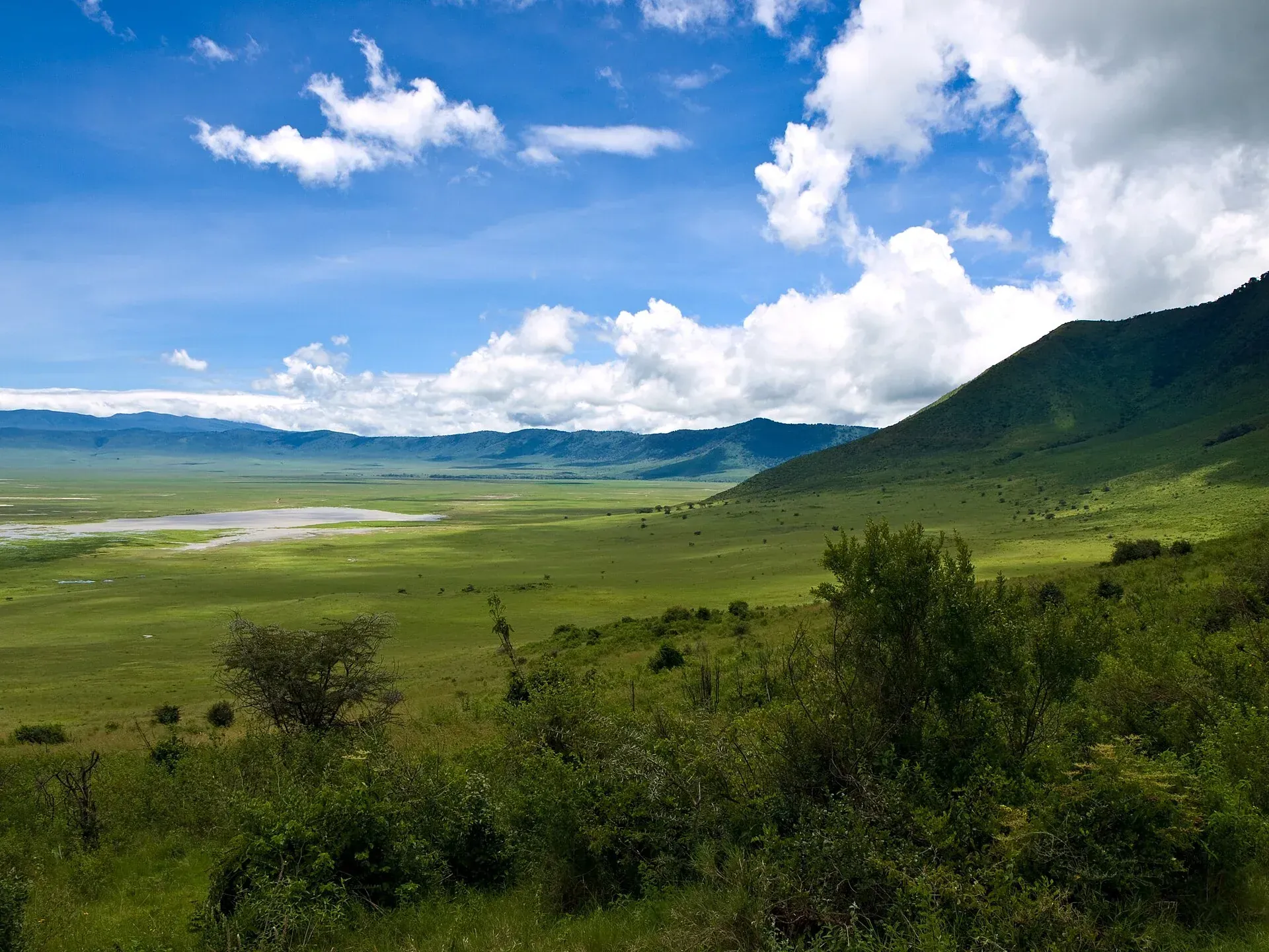 Ngorongoro Crater floor with soda lake, panoramic view