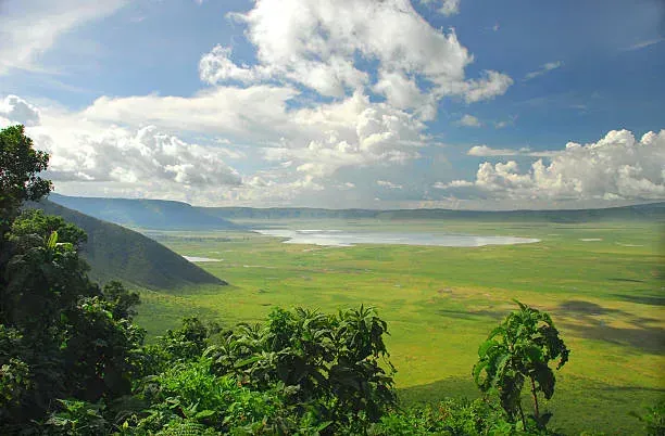 Ngorongoro Crater — forest rim overlooking the crater floor