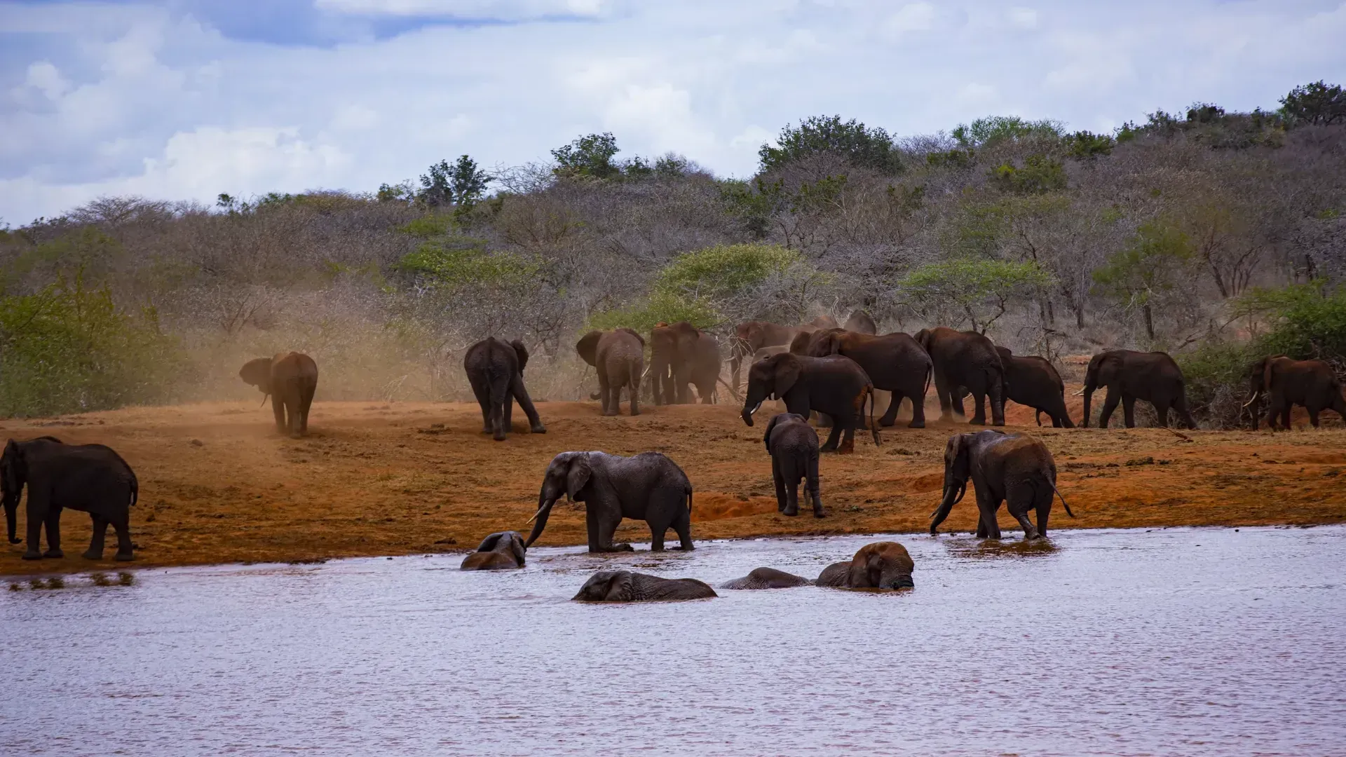 Tsavo East — red dust elephants of the Galana River