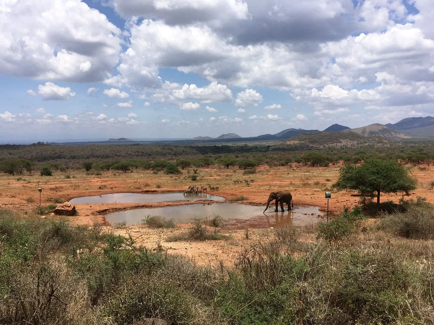 Kilaguni Serena Safari Lodge — veranda overlooking Tsavo plains