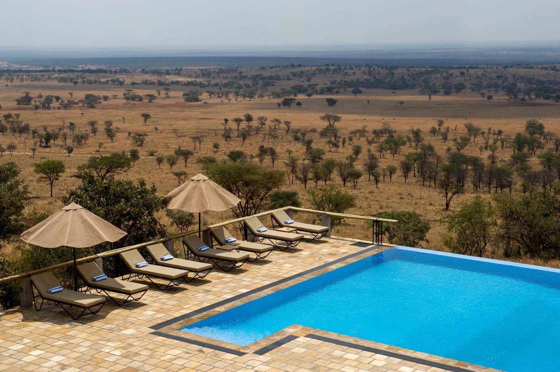 Kubu Kubu Tented Lodge — infinity pool over the Serengeti plains