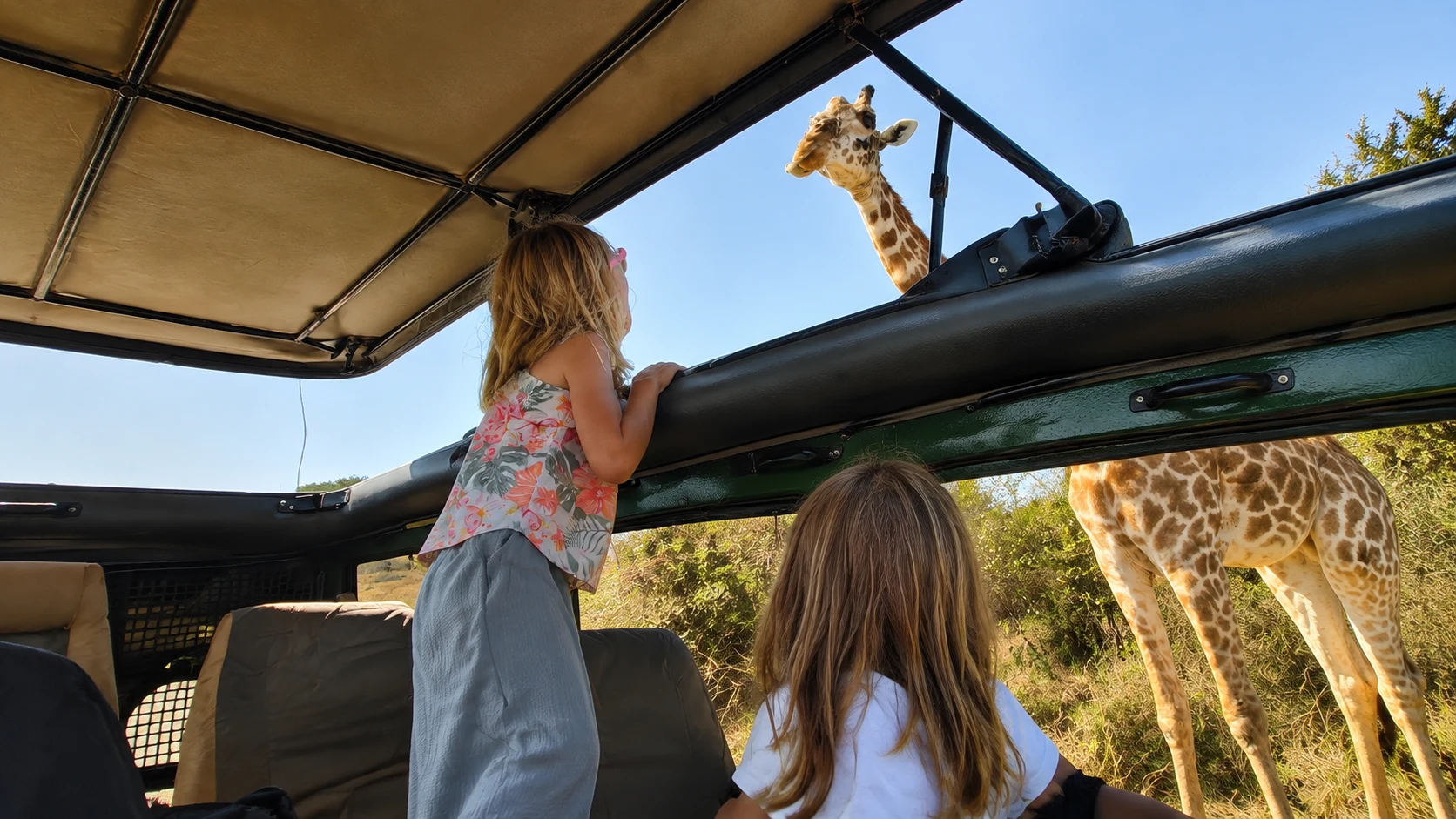 Guests watching a giraffe from the safari vehicle, Masai Mara