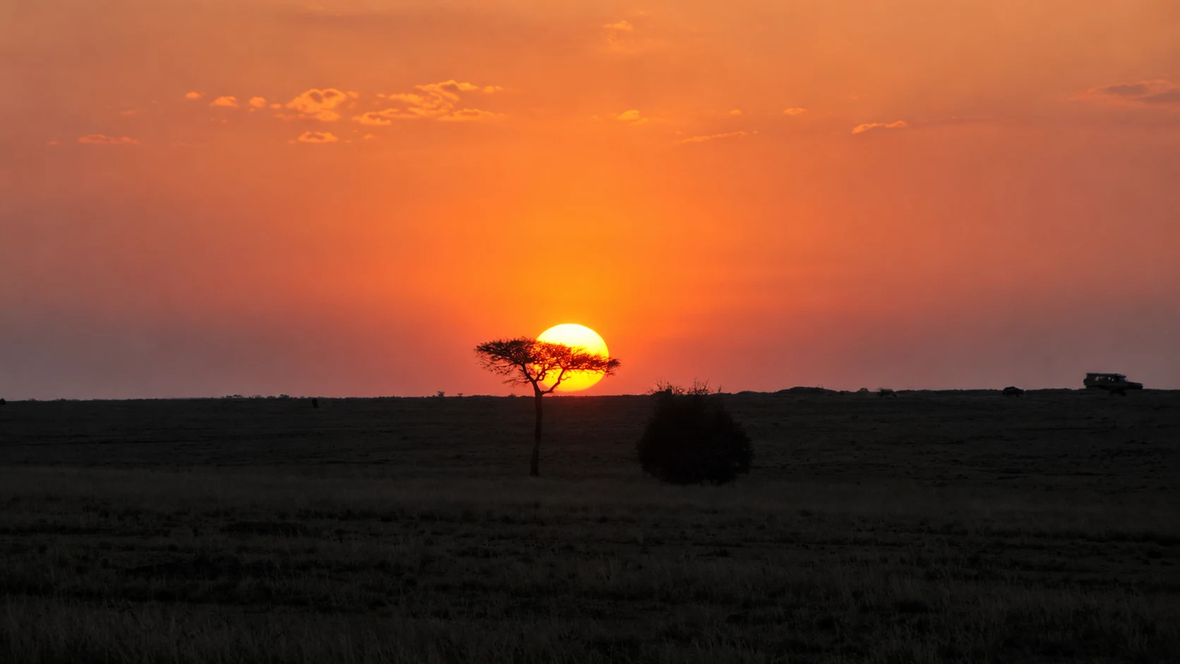 Sunset over a lone acacia, Masai Mara