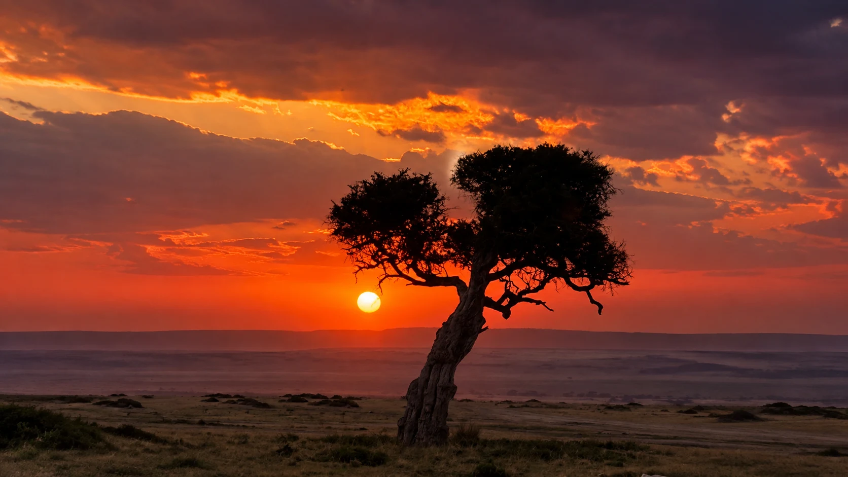 Dramatic sunset sky over the Masai Mara
