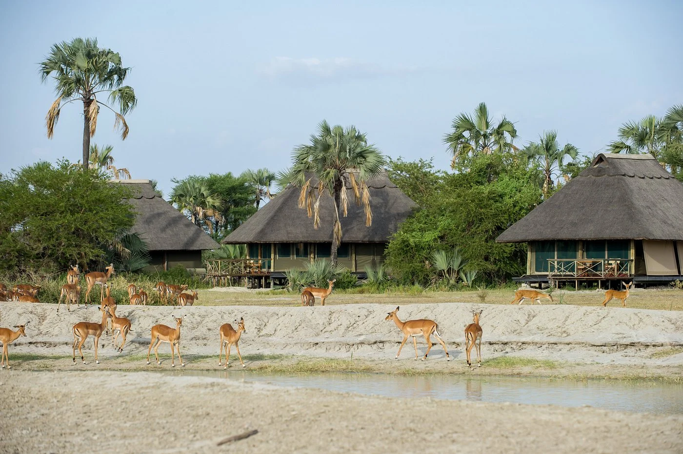 Tarangire National Park