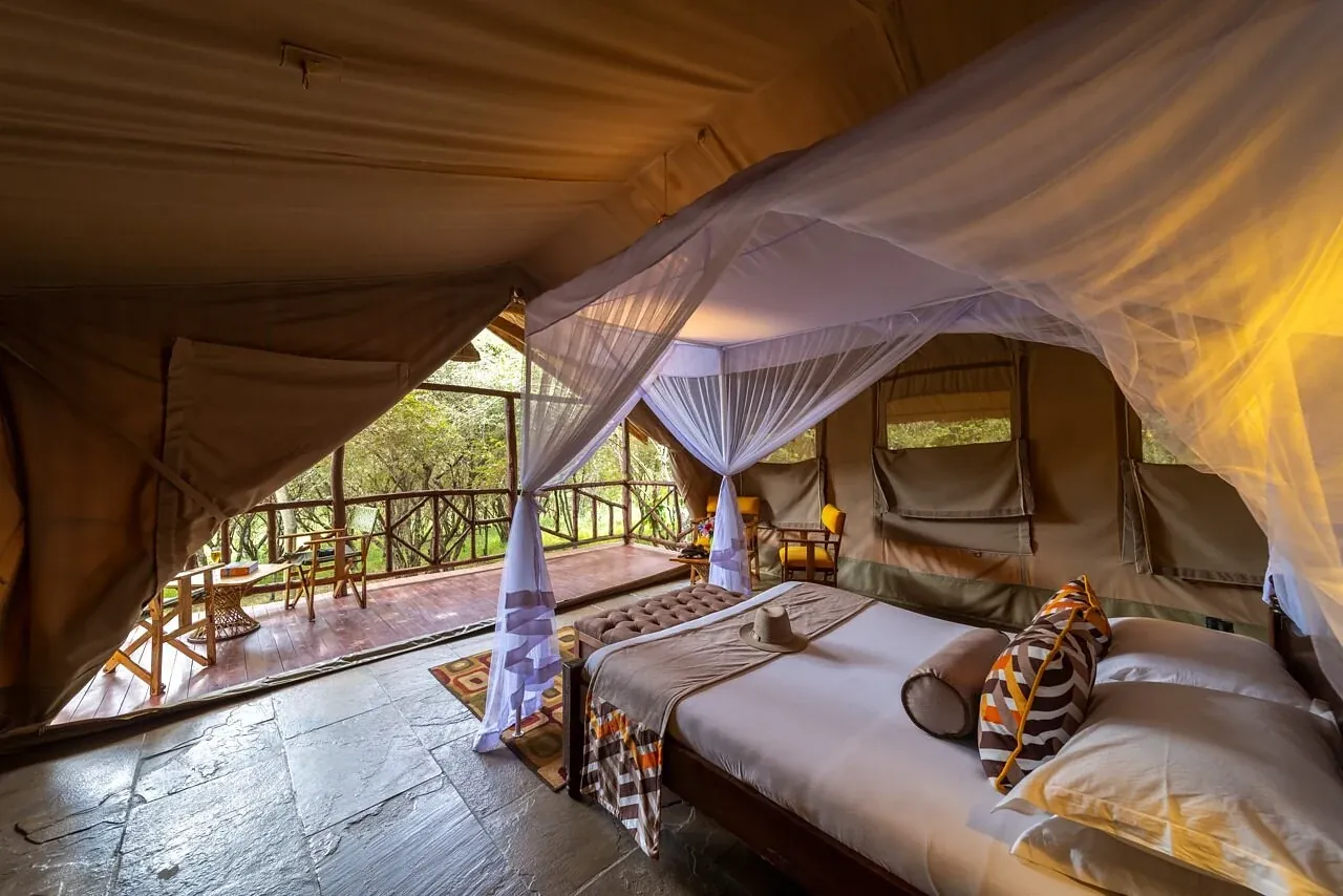 Sentrim Mara Camp — pool with Mara hills